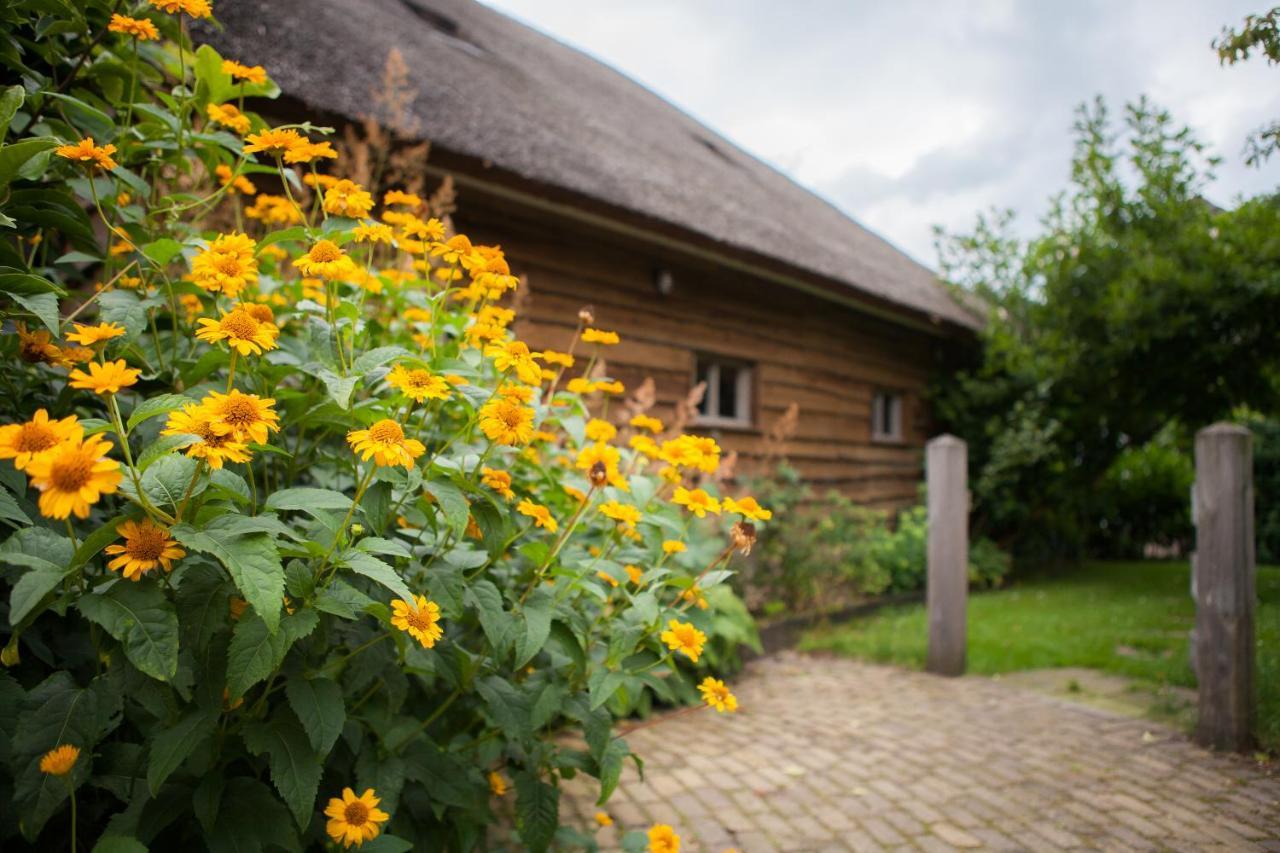 Aan De Aelder Esch Bed & Breakfast Aalden Exterior photo